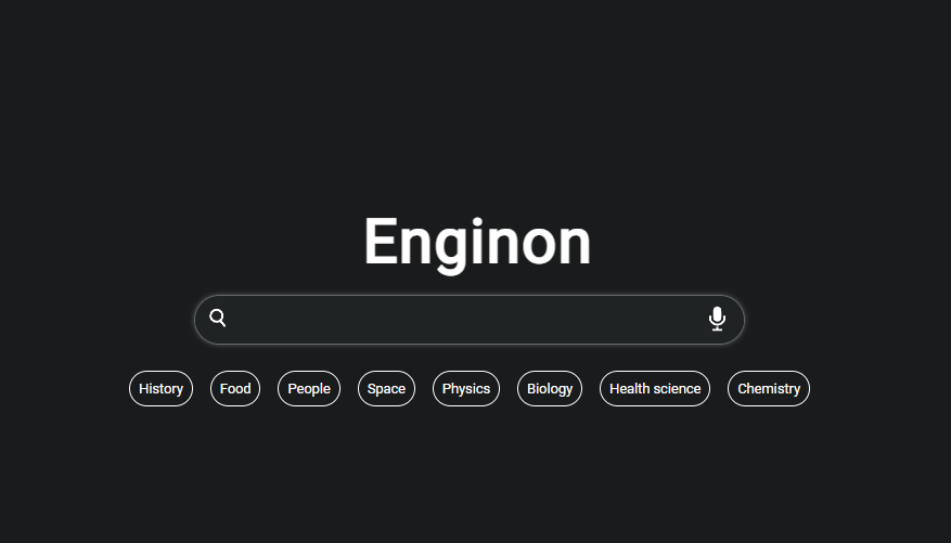 An image of a search engine called Enginon